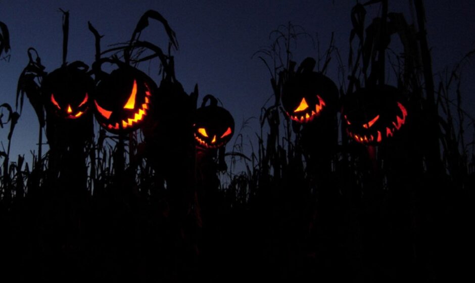 13 классных (классических) фильмов ужасов (Halloween Special P.1)